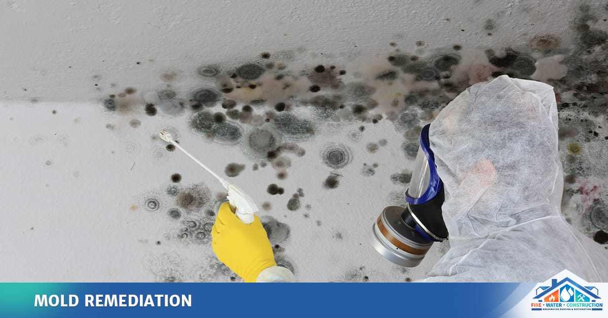 Atlanta mold remediation company.